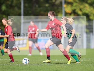 Bild-ID: 2263003