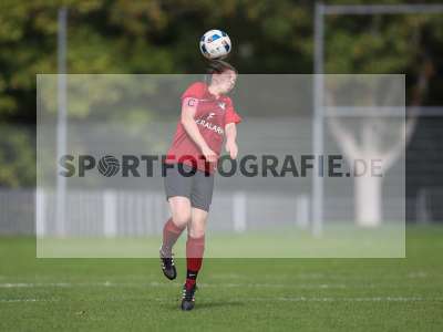 Bild-ID: 2263024