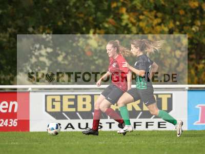 Bild-ID: 2263029