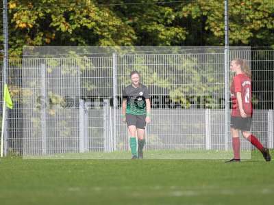 Bild-ID: 2263040