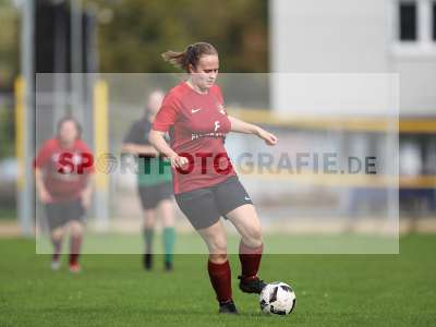 Bild-ID: 2263054