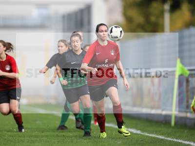 Bild-ID: 2263060