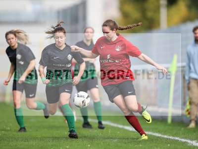 Bild-ID: 2263061
