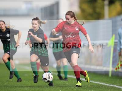 Bild-ID: 2263062