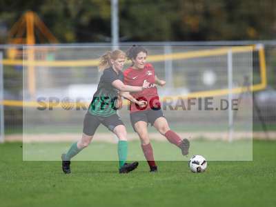 Bild-ID: 2263069
