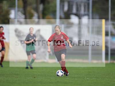 Bild-ID: 2263070