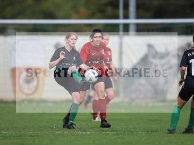 Bild-ID: 2263076