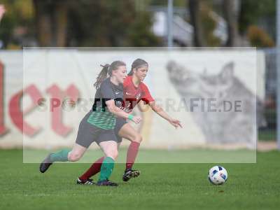 Bild-ID: 2263078