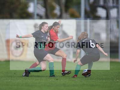 Bild-ID: 2263079