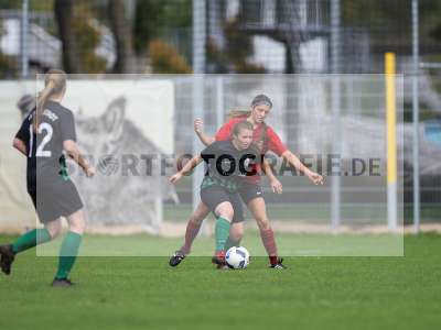 Bild-ID: 2263092