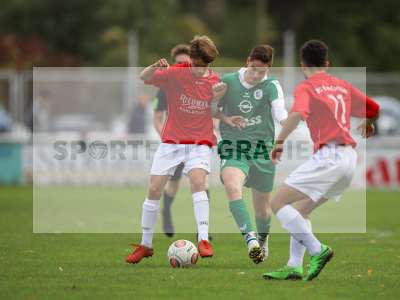 Bild-ID: 2265211