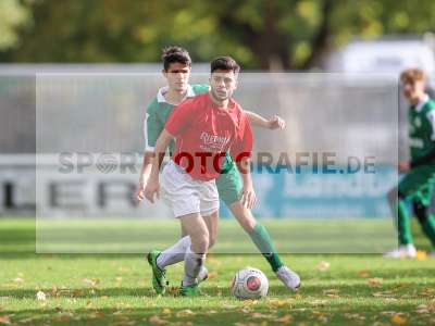 Bild-ID: 2265311