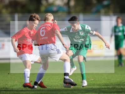 Bild-ID: 2265320