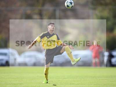 Bild-ID: 2269524