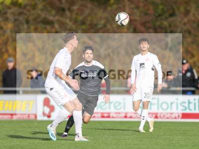 Bild-ID: 2269679
