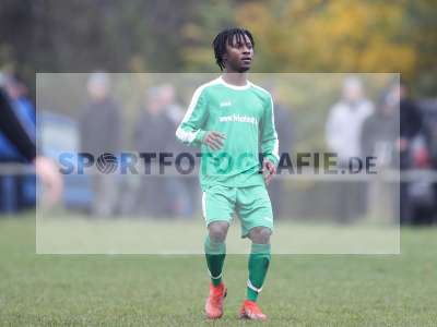 Bild-ID: 2269985