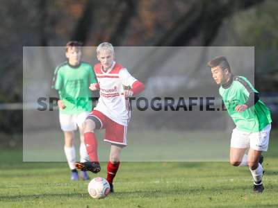 Bild-ID: 2270075