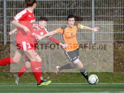 Bild-ID: 2272974