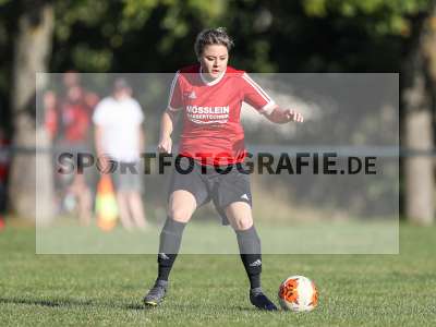 Bild-ID: 2279719
