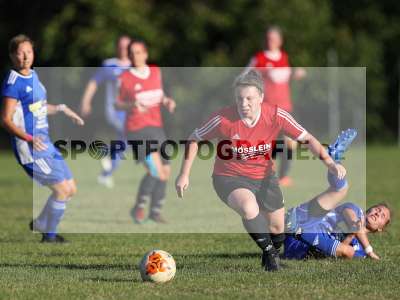 Bild-ID: 2279815