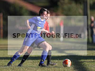 Bild-ID: 2279838