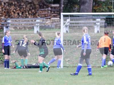 Bild-ID: 2280444