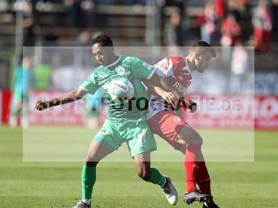 Bild-ID: 2281151