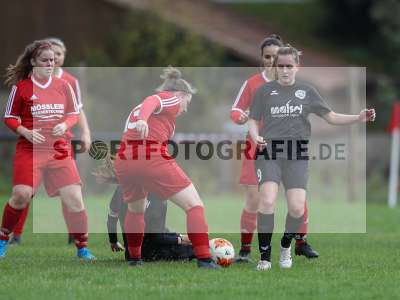 Bild-ID: 2282763