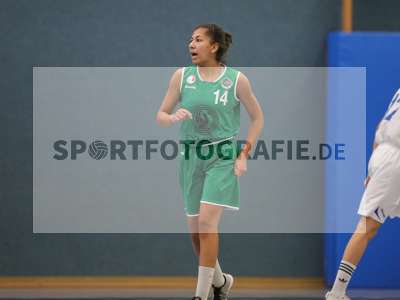 Bild-ID: 2283970