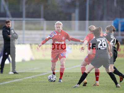 Bild-ID: 2285904