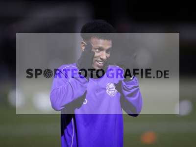 Bild-ID: 2287118