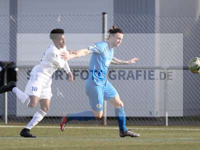 Bild-ID: 2288982