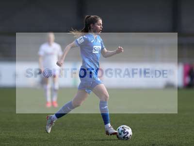Bild-ID: 2289545