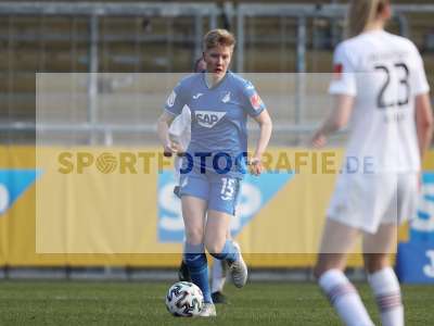 Bild-ID: 2289709
