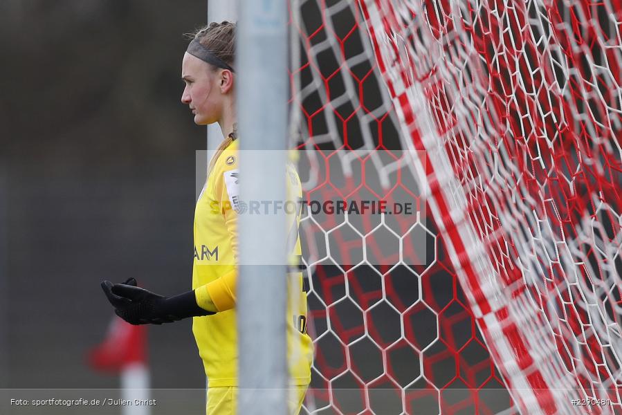 Torfrau, Hannah Johann, Soccergirl Sportpark, Würzburg, 21.03.2021, DFL, sport, action, Fussball, Deutschland, März 2021, Saison 2020/2021, FCK, FWK, Frauen, Süd, 2. Frauen-Bundesliga, 1. FC Köln, FC Würzburger Kickers - Bild-ID: 2290481 Torfrau, Hannah Johann, Soccergirl Sportpark, Würzburg, 21.03.2021, DFL, sport, action, Fussball, Deutschland, März 2021, Saison 2020/2021, FCK, FWK, Frauen, Süd, 2. Frauen-Bundesliga, 1. FC Köln, FC Würzburger Kickers - Bild-ID: 2290481