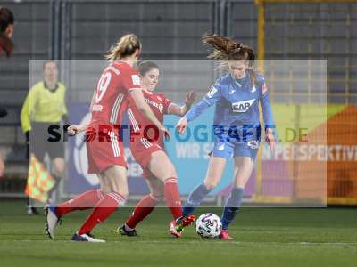 Bild-ID: 2290130