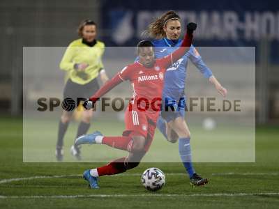 Bild-ID: 2290153
