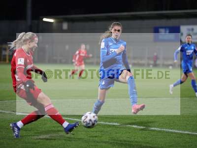 Bild-ID: 2290250