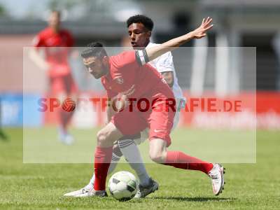 Bild-ID: 2294716