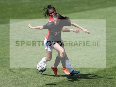 Bild-ID: 2295613