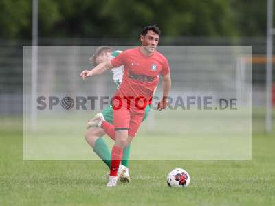 Bild-ID: 2295958