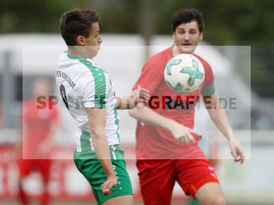 Bild-ID: 2296062