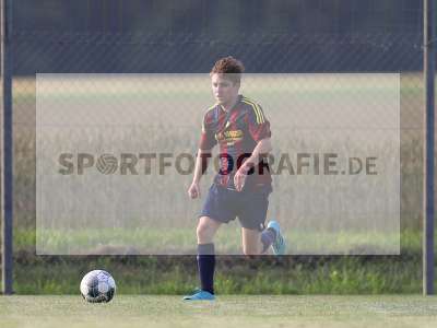 Bild-ID: 2296631