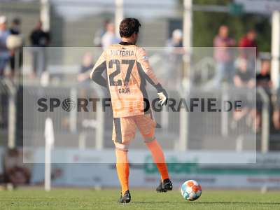 Bild-ID: 2300178