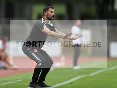 Bild-ID: 2302348