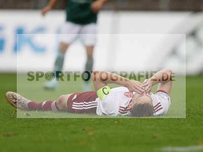 Bild-ID: 2302394