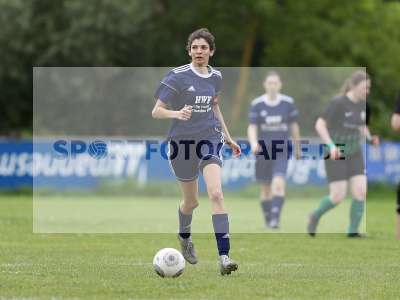Bild-ID: 2302703