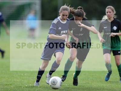 Bild-ID: 2302761
