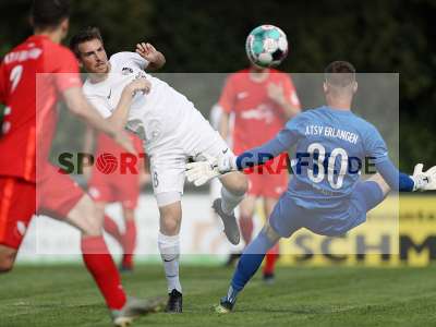 Bild-ID: 2303724