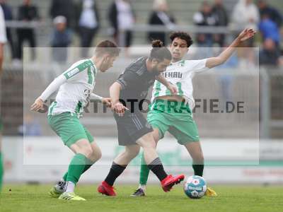 Bild-ID: 2304147